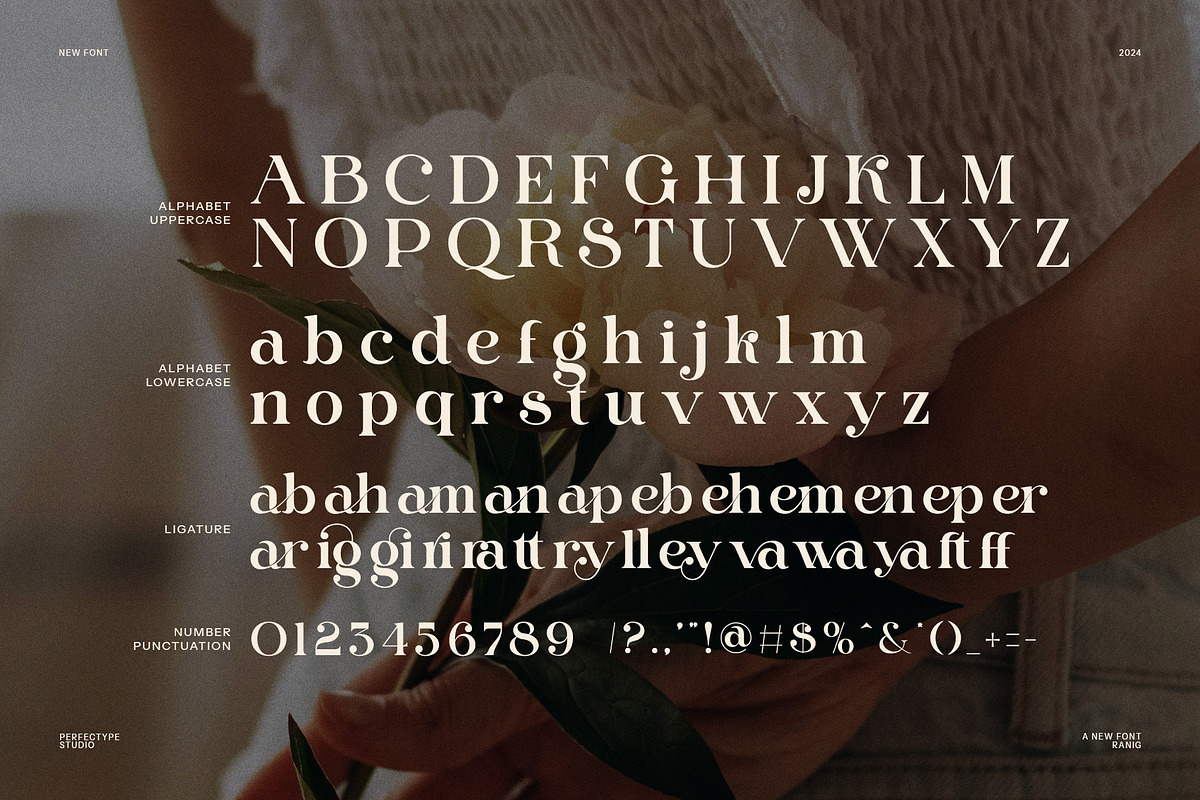 Ranig Modern Serif Font, a Serif Font by Perfectype (Photo 8 of 8)