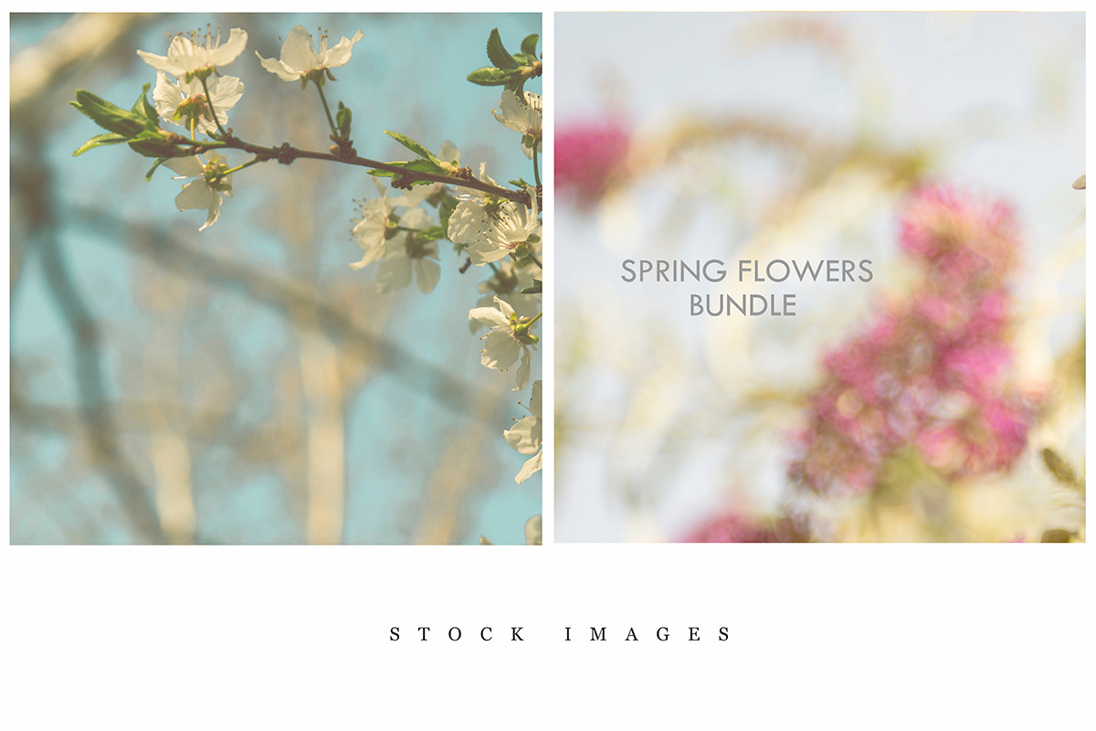 Stock Image Bundle, spring flowers, a Mockup by JAY MID IMAGE (Photo 6 of 6)