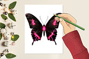 Black and Pink Butterfly Clipart, an Animal Illustration by RobertsArt (Thumbnail 6 of 7)