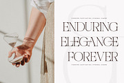 Nocashe New Display Serif Font, a Serif Font by Storytype Studio (Thumbnail 3 of 15)