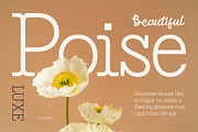 CS Gains – Classic Font, a Serif Font by Craft Supply Co. (Thumbnail 6 of 8)