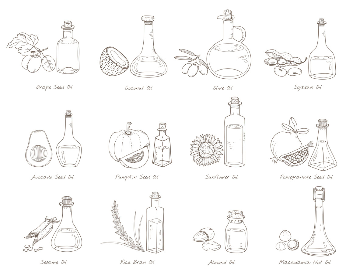 Vector of different types of oil, an Illustration by rawpixel