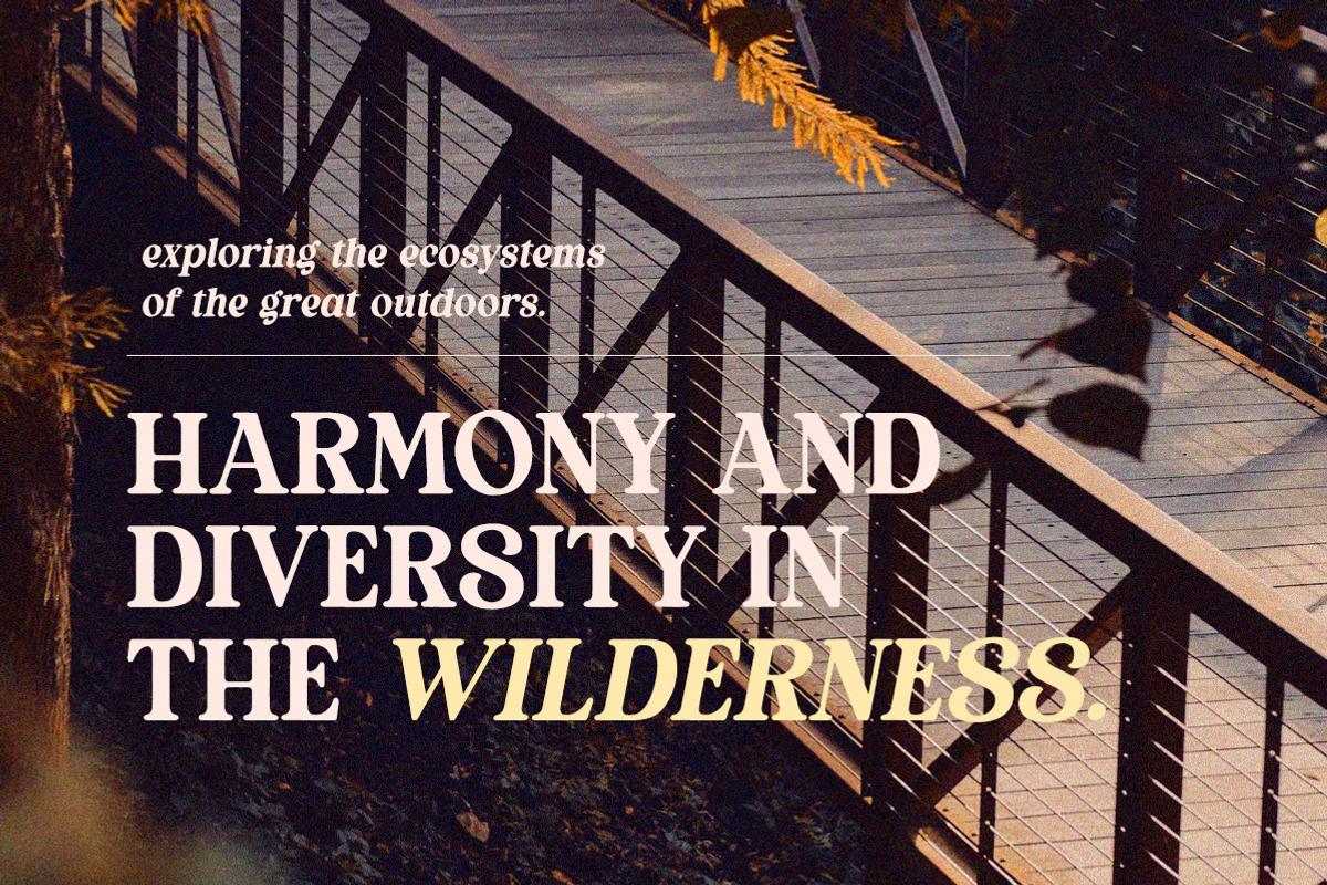 Thrive Wood - Organic Serif, a Serif Font by Letterhend Studio (Photo 4 of 9)