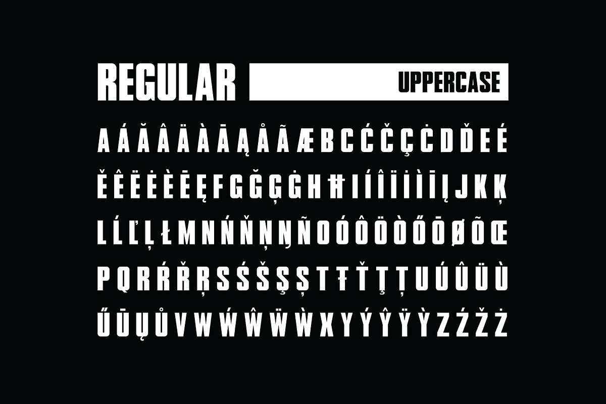 LE MANS - CLASSIC Font, a Sans Serif Font by KAZER STUDIO (Photo 3 of 10)