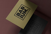Spot UV Printing Logo Mockup, a Product Mockup by GfxFoundry (Thumbnail 4 of 5)