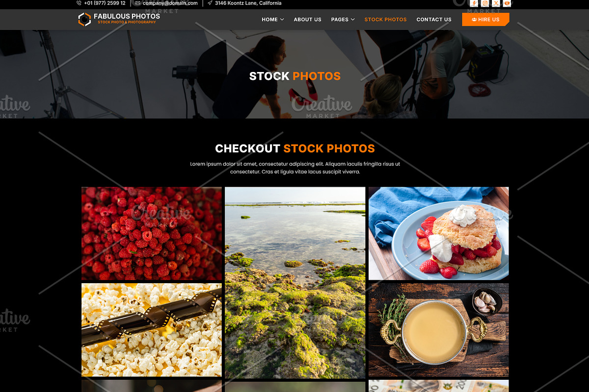 Stock Photo & Photography Elementor, a WordPress Template by HasnainDEV (Photo 4 of 6)