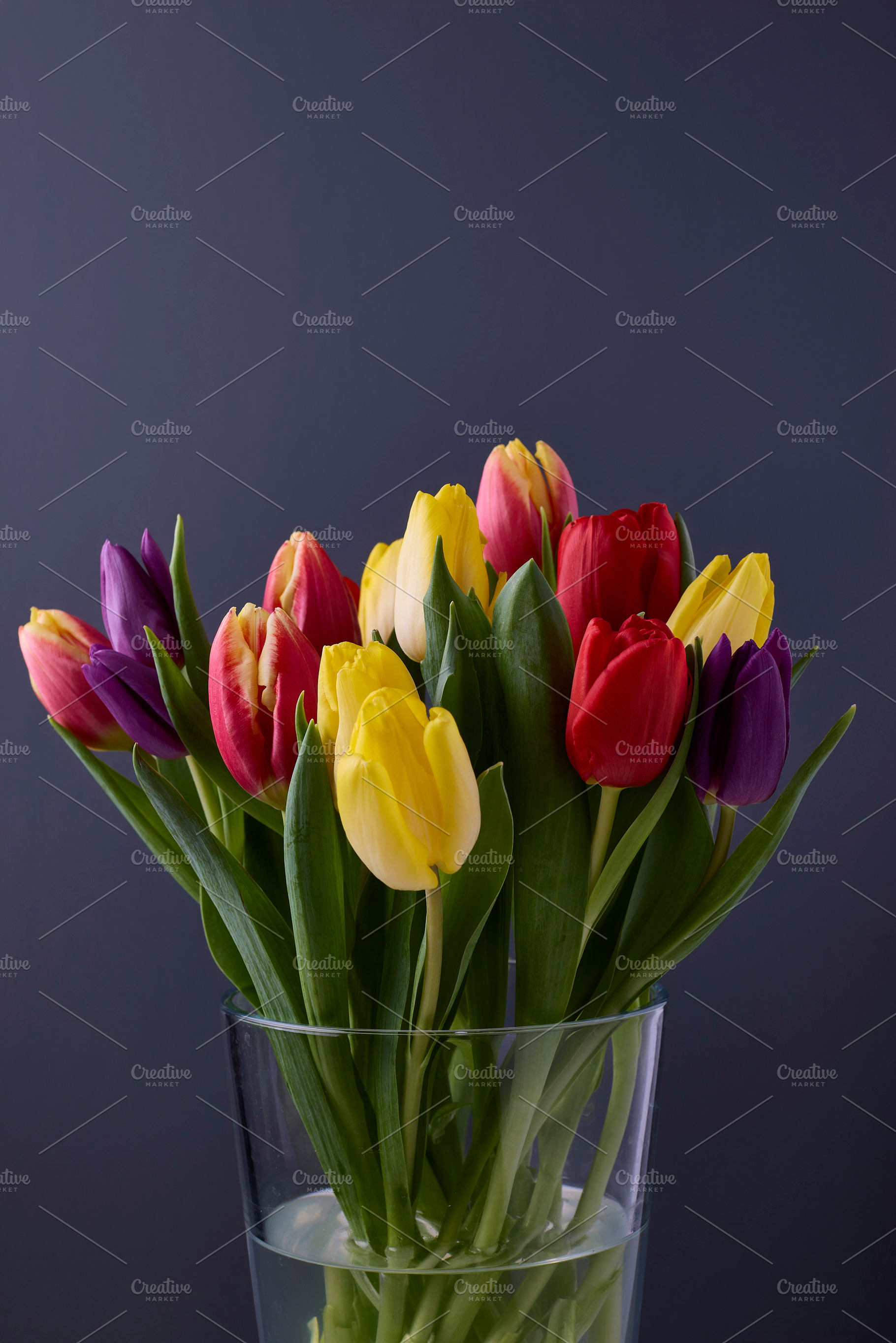 Multicoloured Fresh Cut Tulips, a Photo by Photos from the Heart