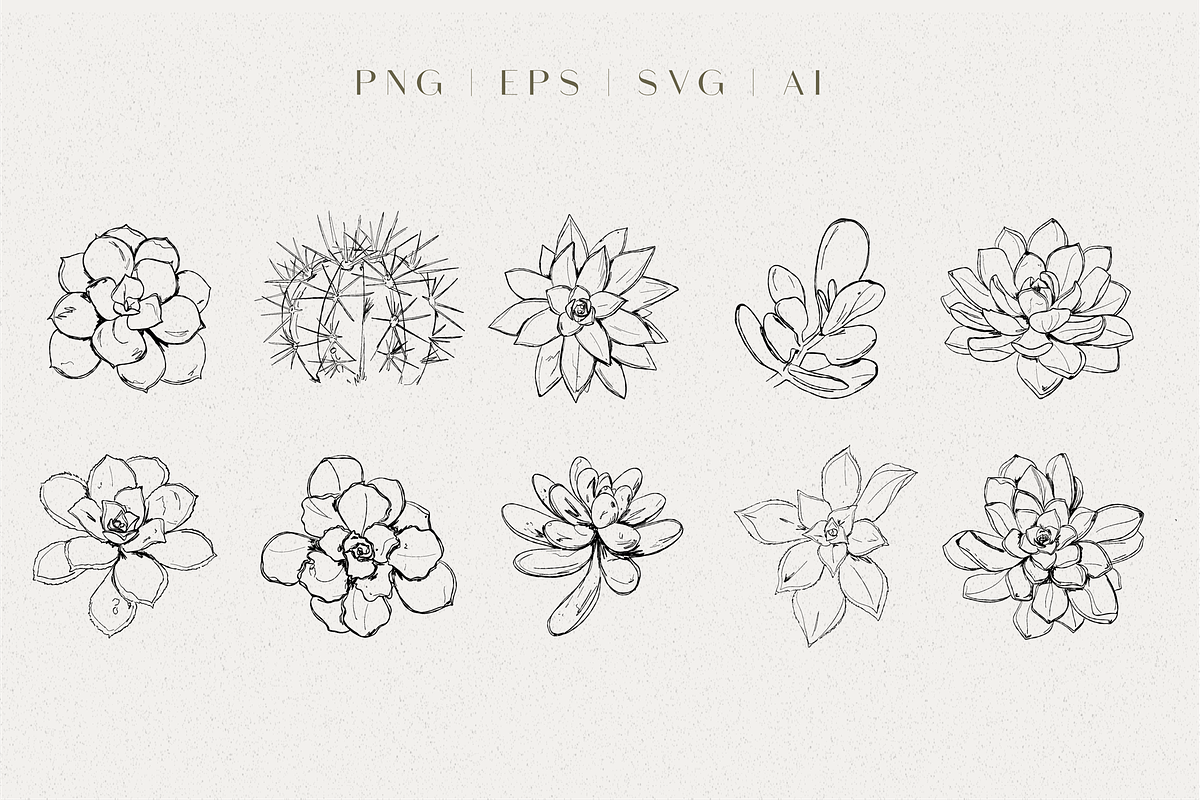 Line Art Succulent Illustrations, a Decorative Illustration by CL Creative Studio (Photo 3 of 10)