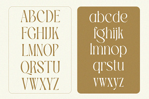 TBJ Palatino Stylish Serif Font