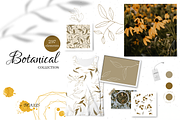 Botanical shapes, organic forms, a Decorative Illustration by JuDesign (Thumbnail 1 of 11)