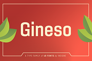 Gineso, a Sans Serif Font by insigne (Thumbnail 1 of 4)