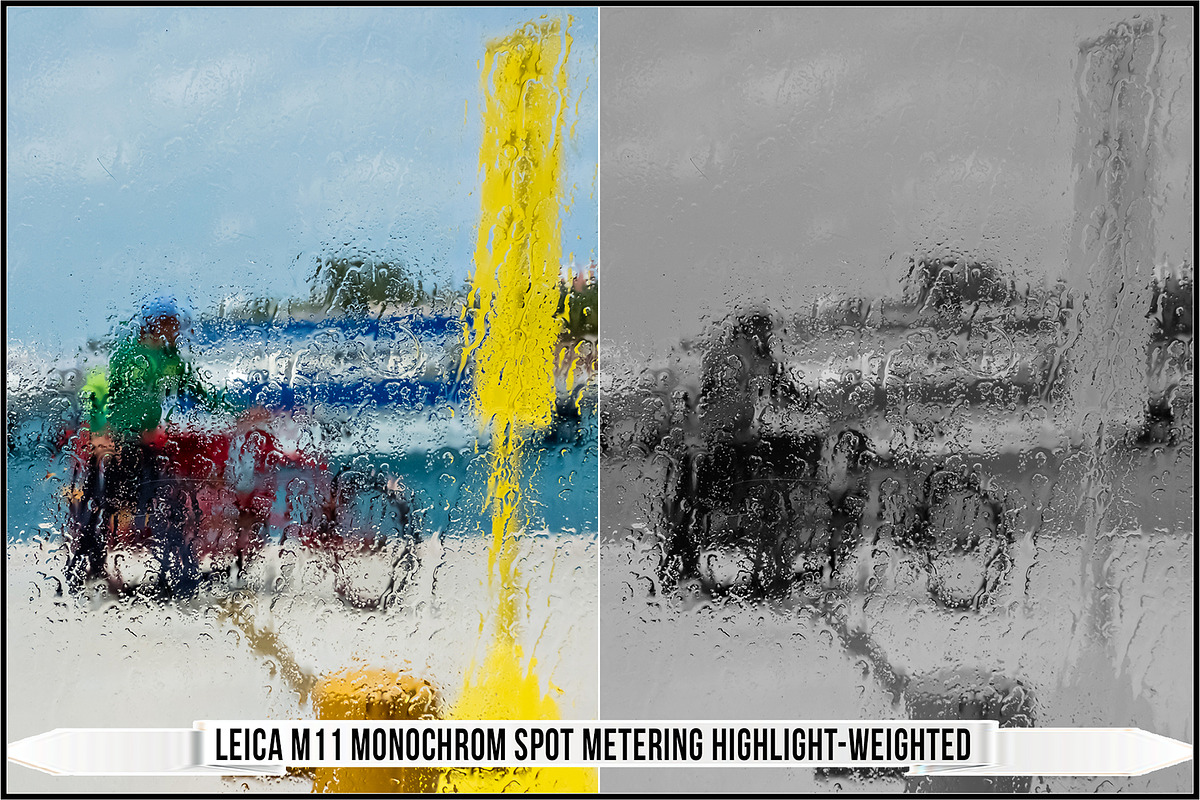 Leica Monochrom Profiles, a Plug-in Add-On by Raztrend (Photo 15 of 31)