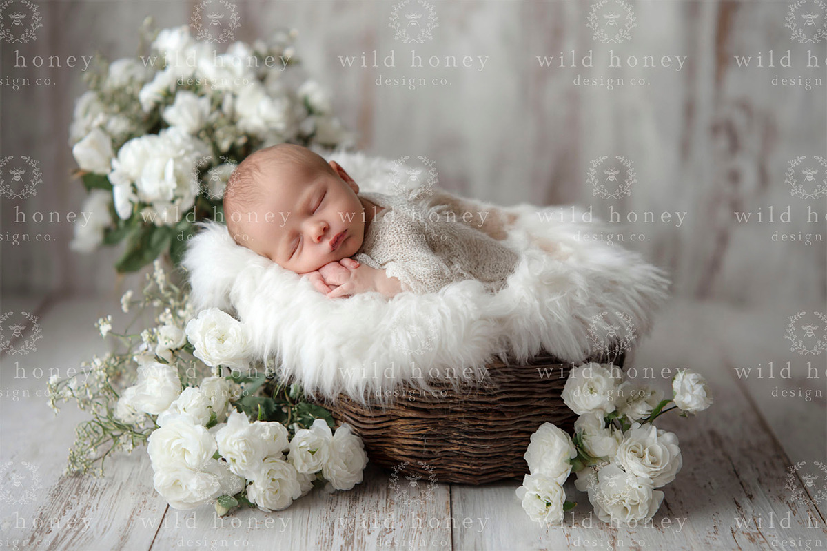 Newborn Basket Digital Backdrop, a Layer Style Add-On by Wild Honey Design Co. (Photo 1 of 2)