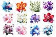 Watercolor Orchid Clipart, an Illustration by Dream Creation (Thumbnail 3 of 5)