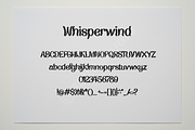 Piti | Modern Minimalist Serif Typef, a Font by Astuti Studio (Thumbnail 2 of 16)