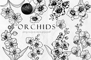 Ochid flowers Line art svg, an Object Graphic by Dervik Art Store (Thumbnail 1 of 9)