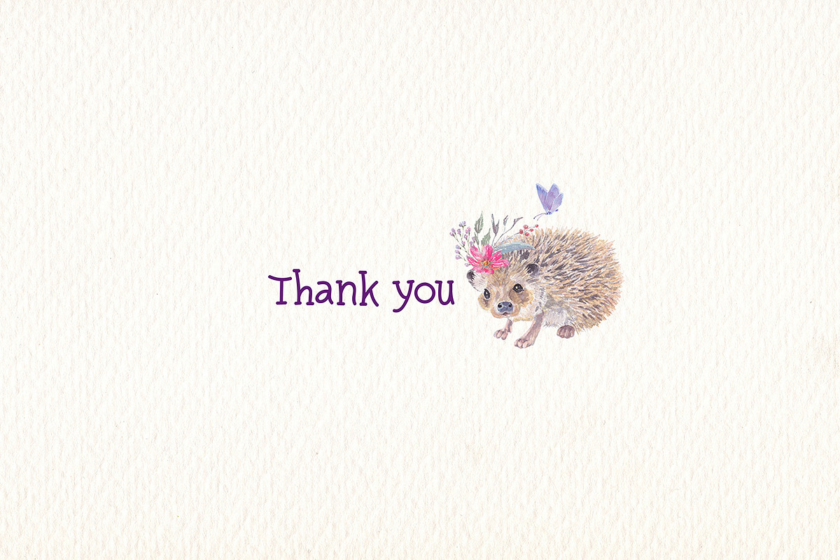 Hedgehog watercolor clipart, an Illustration by Art & Things (Photo 7 of 7)