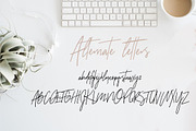 Sydney | Font Duo + 12 Free Logos, a Sans Serif Font by Jen Wagner Co (Thumbnail 10 of 13)