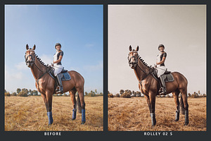 20 Earthy Lightroom Presets & LUTs