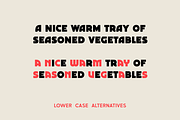 Marche Display Font, a Serif Font by Studio Clay (Thumbnail 9 of 10)
