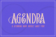 Agendra Serif Font, a Serif Font by Salt & Pepper Designs (Thumbnail 1 of 8)
