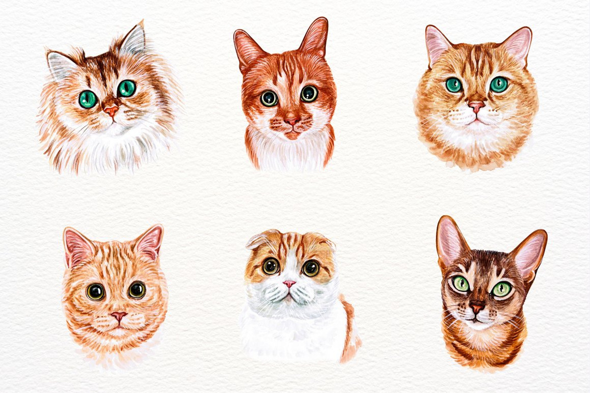 39 Realistic Watercolor Cat Portrait, an Animal Illustration by ArtbyHien (Photo 4 of 8)