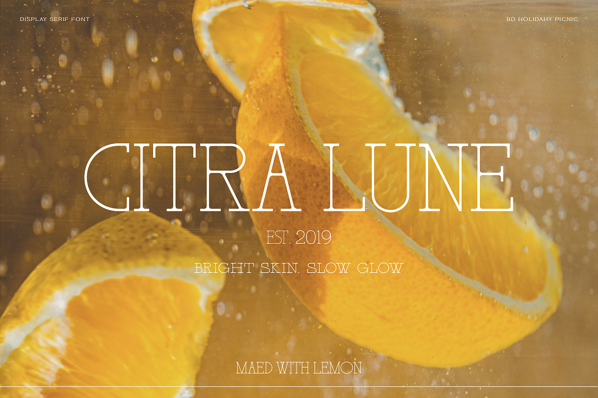 BD Holiday & Picnic, a Slab Serif Font by Brandear Design (Photo 12 of 16)