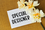 Casual Varsity, a Script Font by FreshTypeINK (Thumbnail 8 of 8)