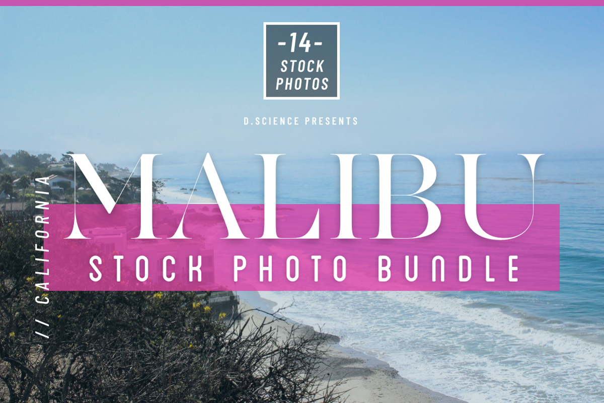 200+ California Stock Photo Bundle, a Business Photo by Template Monkey @dscience (Photo 10 of 38)