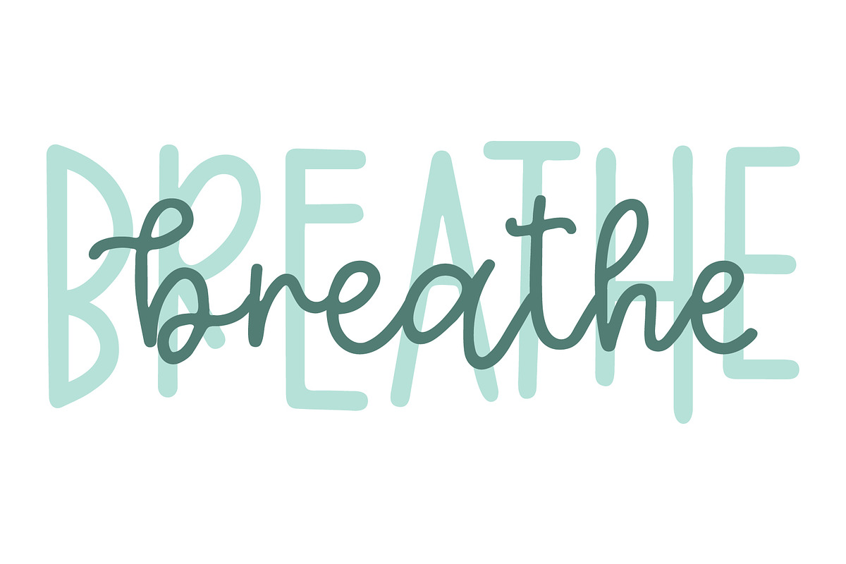 Eucalyptus Spearmint Monoline Script preview 5