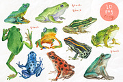 Frogs&lizards.Watercolor set, an Illustration by Nastilustra (Thumbnail 2 of 4)