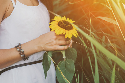 Beautiful woman holding sunflower in forest background stock photo containing