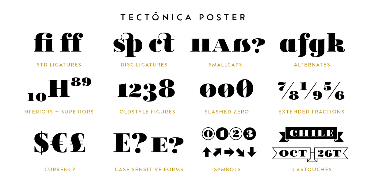 Tectónica, a Serif Font by Untype (Photo 10 of 14)