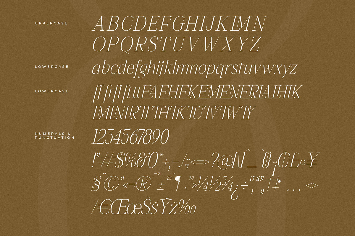 Seraphine Modern Font Serif, a Serif Font by Letterena Studios (Photo 14 of 15)
