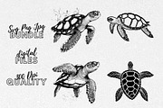 Sea Turtle SVG - Sea Turtle Clipart, an Illustration by YouniqueArtwork (Thumbnail 1 of 5)