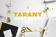 Tarant font, a Sans Serif Font by Webvilla Studio (Thumbnail 2 of 5)