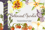Botanical Watercolor Set, a Graphic by The Autumn Rabbit Ltd (Thumbnail 1 of 2)