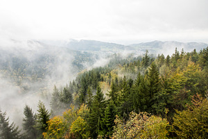 Cloudy mountain and forest landscape