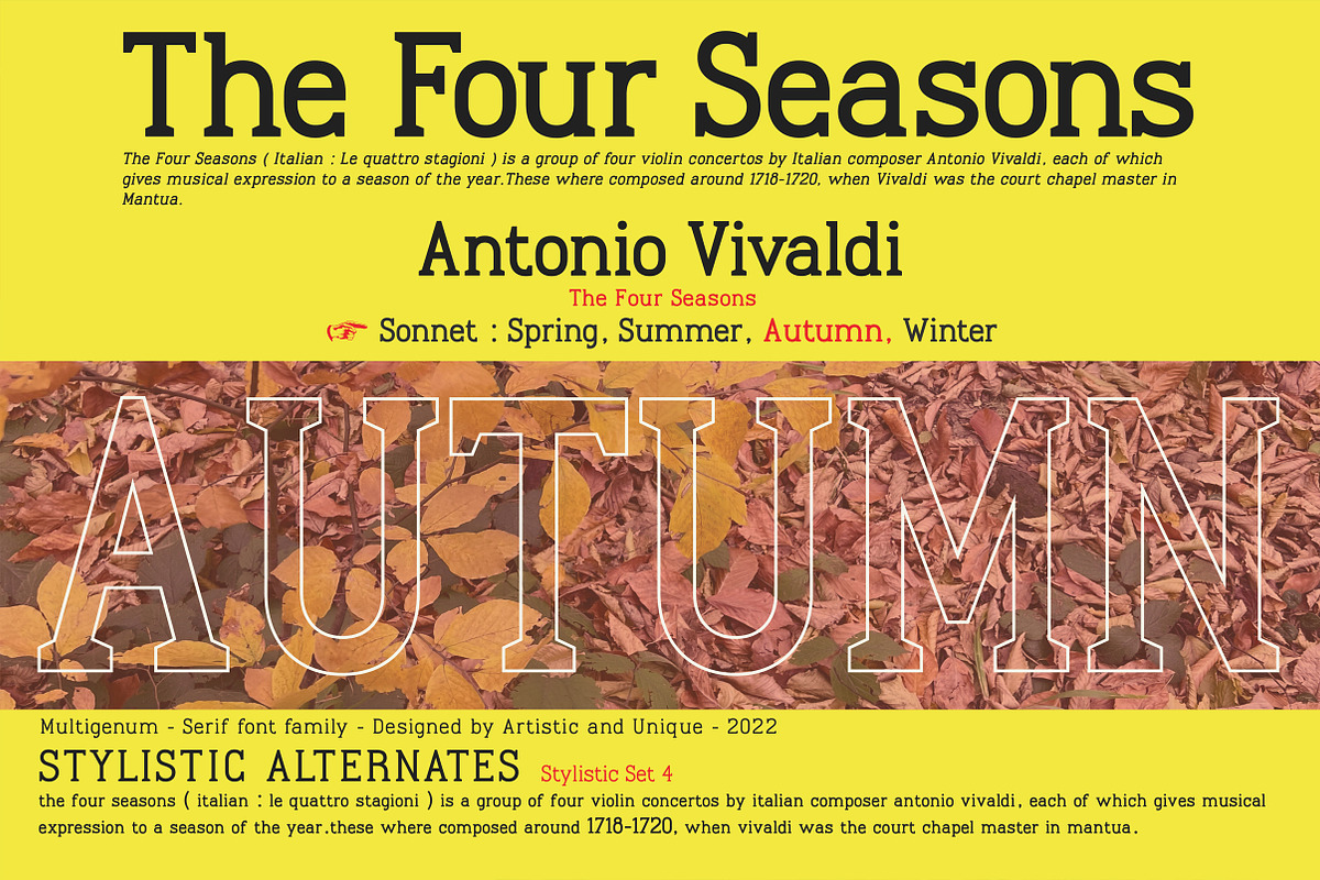Multigenum - Serif font family, a Serif Font by Artistic & Unique (Photo 10 of 15)