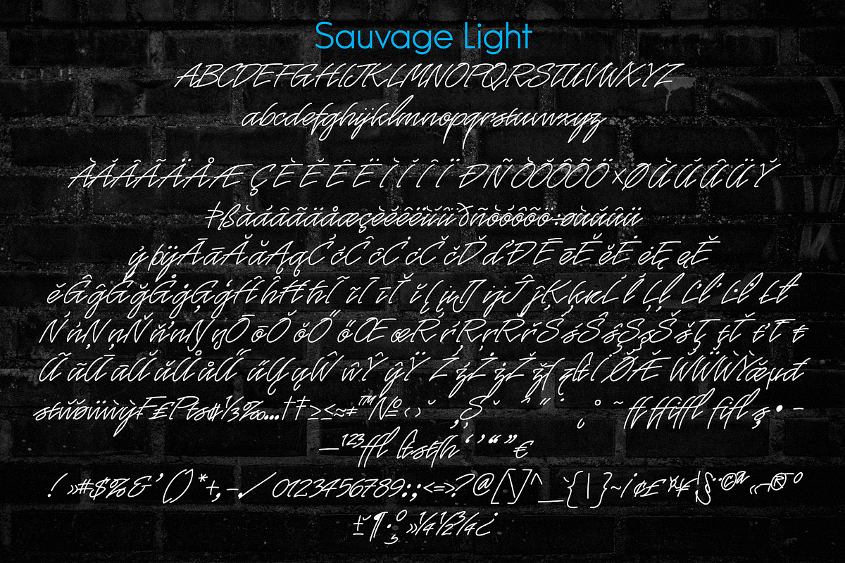 Sauvage - Monoline Script Family, a Script Font by Jvne77 (Photo 4 of 6)