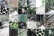 98% OFF | Tropical Bundle | 170 IN 1, a Photo by Floral Deco (Thumbnail 14 of 14)