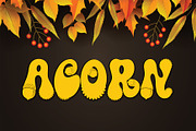 AcornSpecial font, a Symbol Font by danbamstore (Thumbnail 1 of 7)
