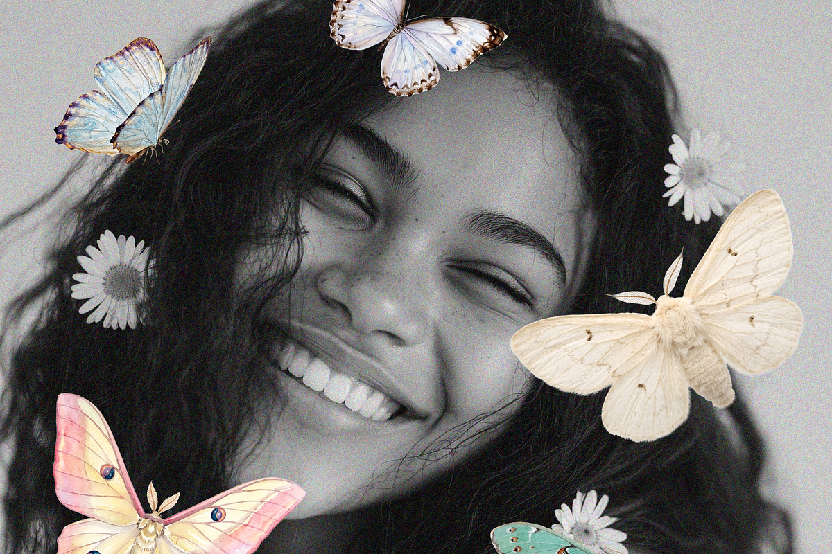 Butterflies Collection, an Object Graphic by Lana Elanor (Photo 4 of 11)
