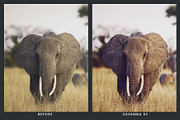 20 Wildlife Lightroom Presets & LUTs, a Preset Add-On by SparkleStock (Thumbnail 4 of 9)