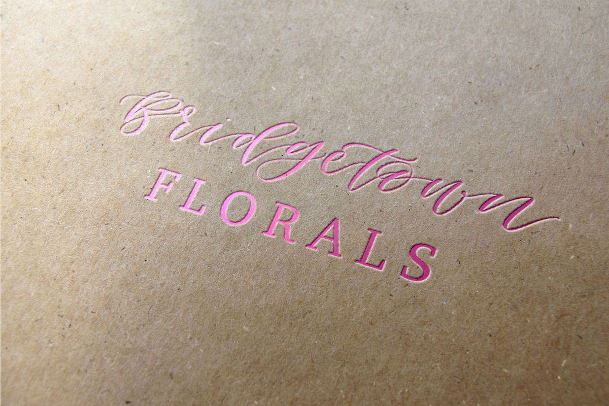 Columbidae Elegant Calligraphy Font, a Script Font by The Pigeon Letters (Photo 11 of 11)