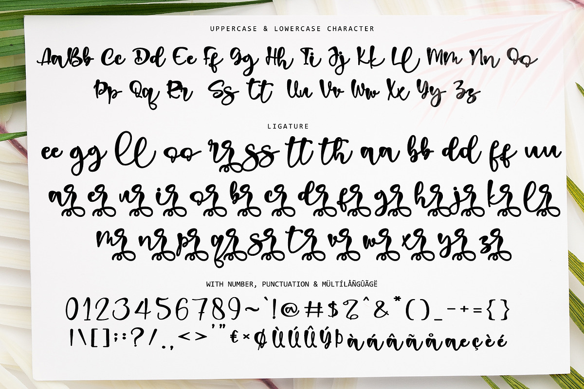 Spring Sunshine, a Script Font by Letterara (Photo 5 of 7)