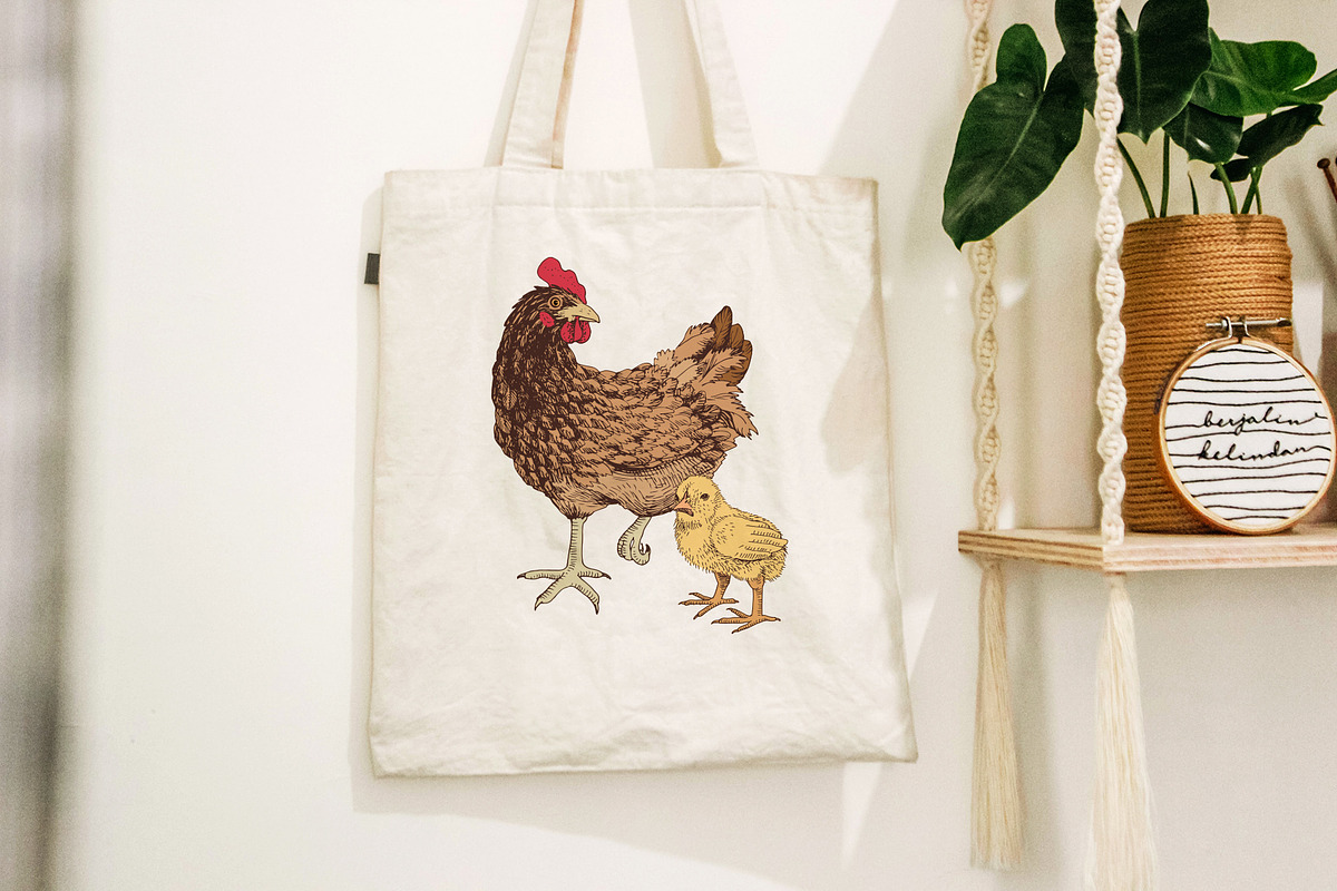 Hand drawn chicken life cycle, an Animal Illustration by handsketched (Photo 6 of 7)
