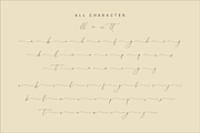 Homylane Dreamyntine Chic Calligraph, a Script Font by Storytype Studio (Thumbnail 14 of 15)