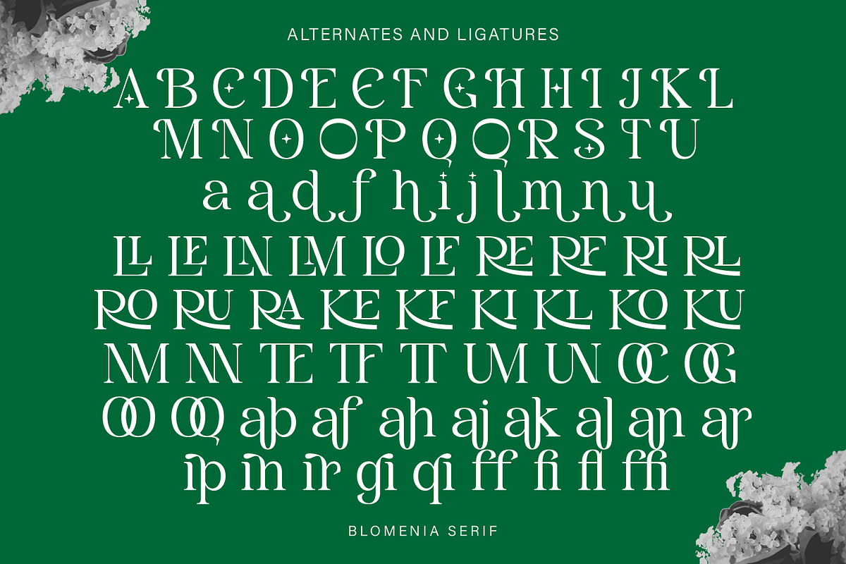 Blomenia, a Serif Font by Zaloma Studio (Photo 17 of 18)