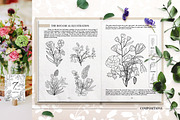 Botanical Wildflowers. Patterns, an Illustration by Diana Kovach (Thumbnail 4 of 11)